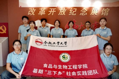 合工大学子奔赴滁州乡土：赓续以专业学问办事